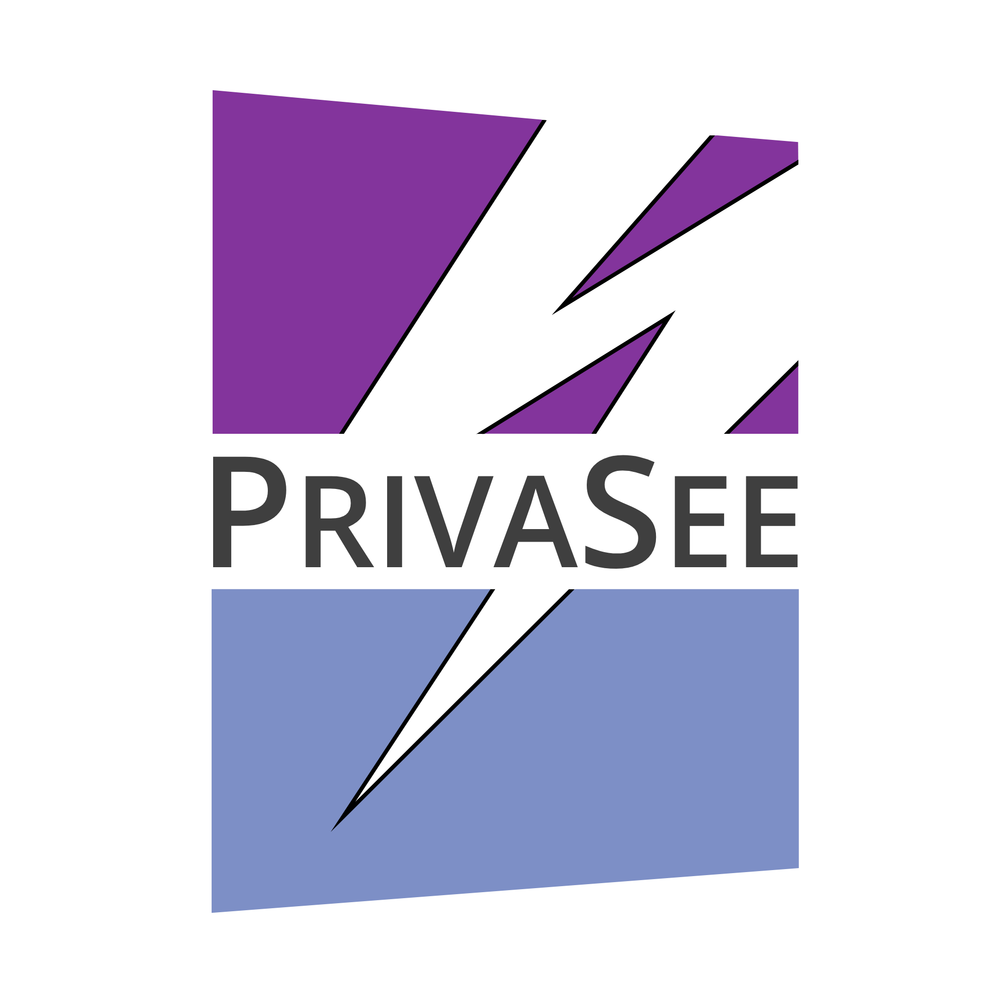 PrivaSee Logo-1